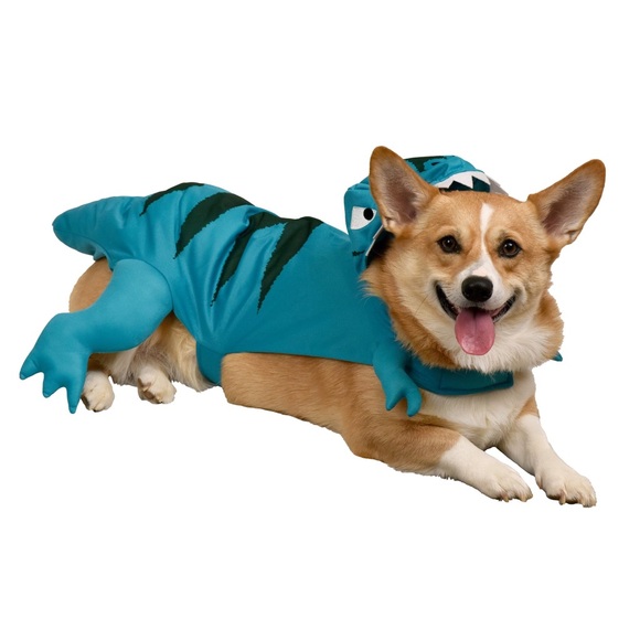 Buttons & Bones Other - Buttons & Bones | T-Rex Dinosaur Halloween Costume for Dogs | size M/L